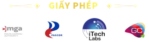 Giấy phép hợp pháp S8